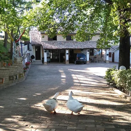 Casa Delle Arti